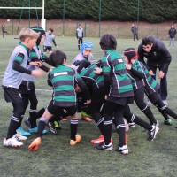 Benjamins Equipes 2 et 3 : tournoi à Suresnes