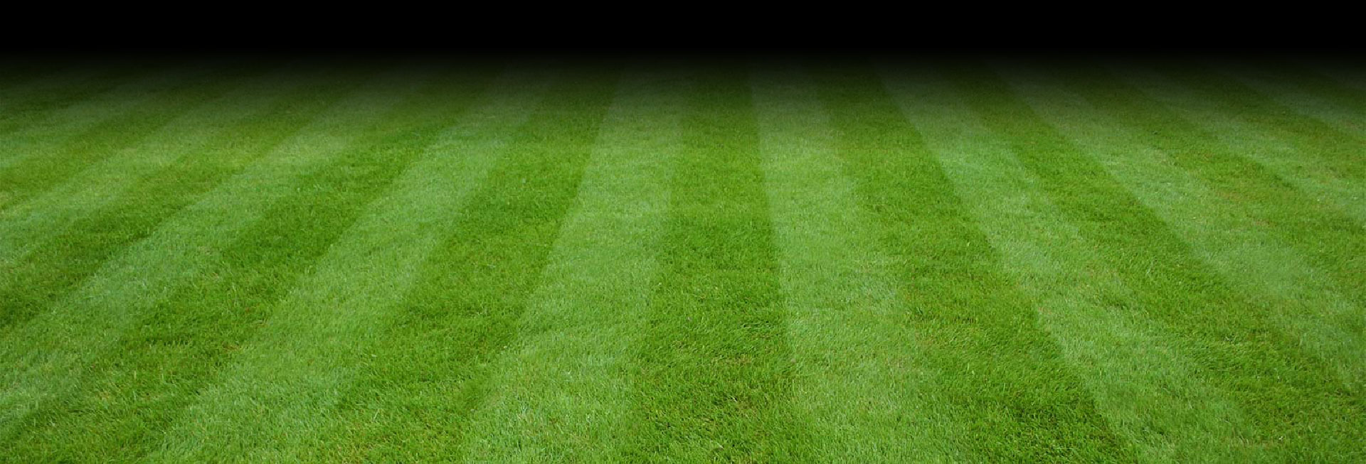 gazon – Rugby Club Suresnes Hauts-de-Seine