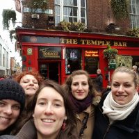 rugbykinis en irlande