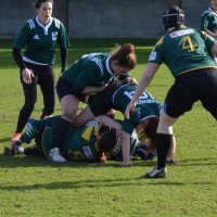 rugbykinis en irlande