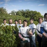 vendanges 2017