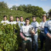 vendanges 2017