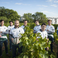 vendanges 2017