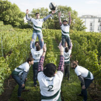 vendanges 2017