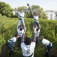 vendanges 2017