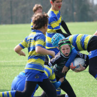 BENJAMINS (M12) EQUIPE 2 : Rencontres LIFR à Suresnes le 23/03/2019